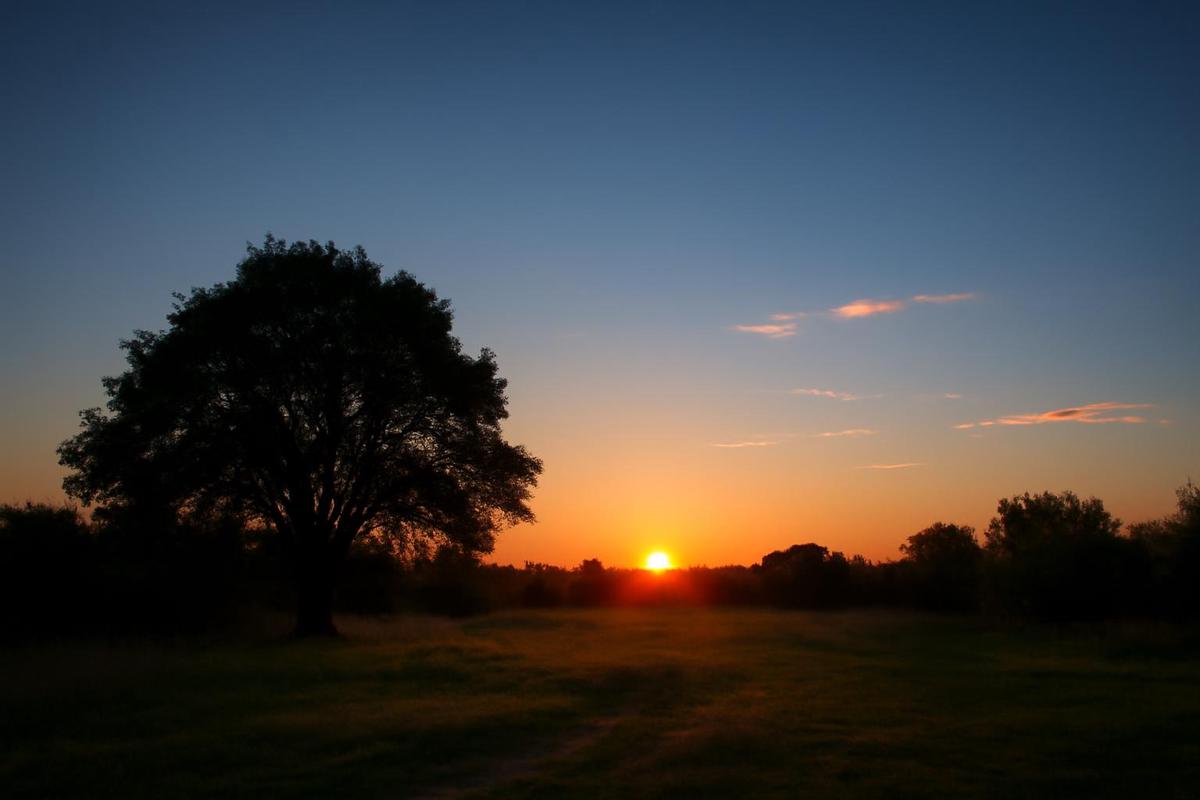 Clima en CABA: pronóstico del tiempo para el 17 de junio