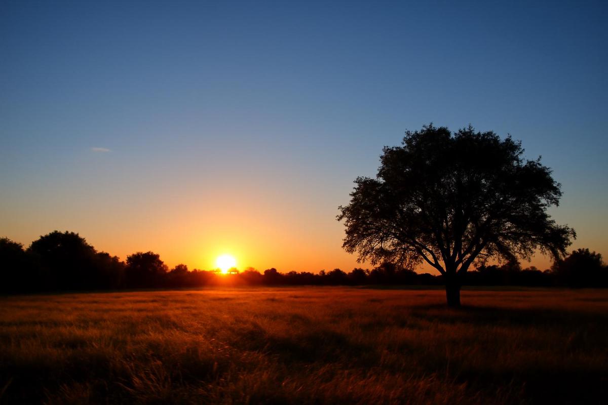 Clima en Santa Fe: pronóstico del tiempo para el 4 de octubre