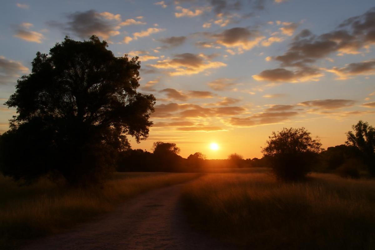 Clima en Mendoza: pronóstico del tiempo para el 14 de diciembre