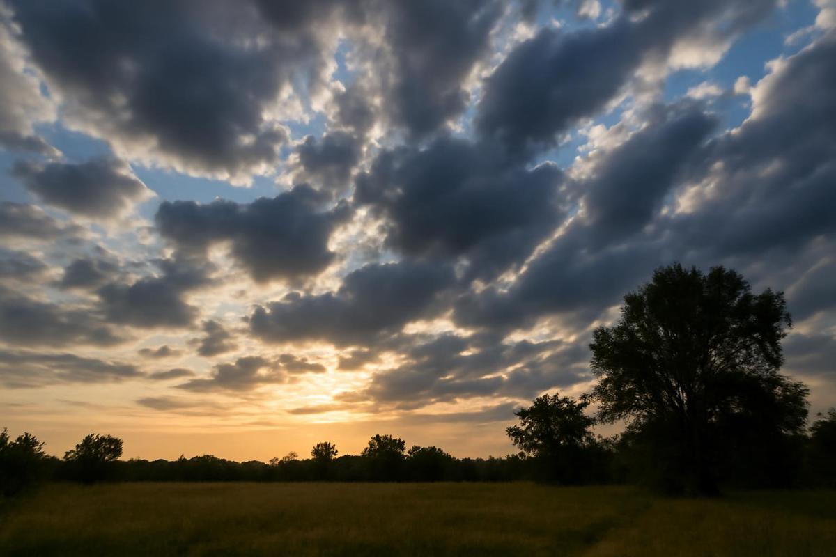 Clima en Tucumán: pronóstico del tiempo para el 9 de enero