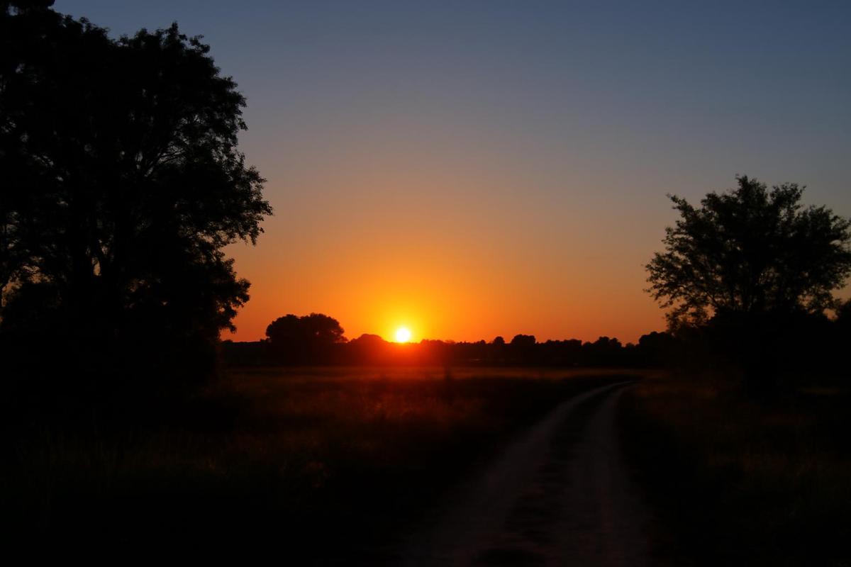 Clima en Córdoba: pronóstico del tiempo para el 11 de diciembre