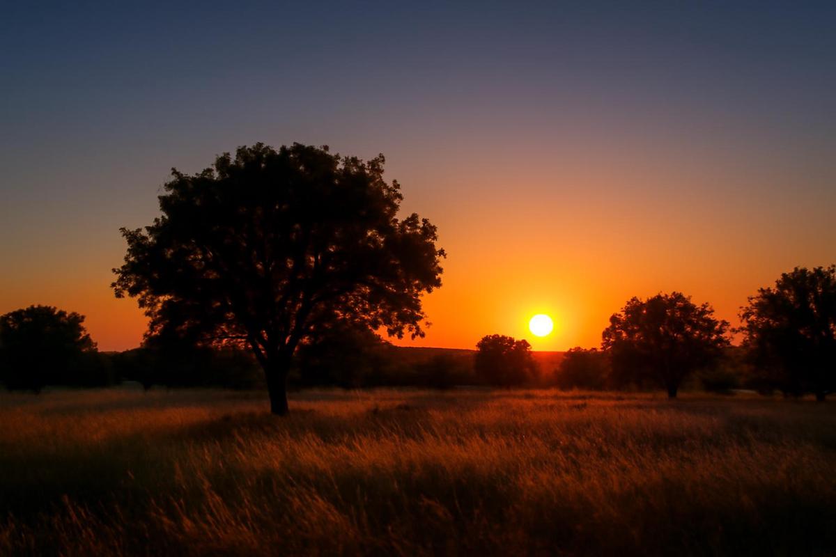Estado del tiempo en Mendoza para el 14 de abril