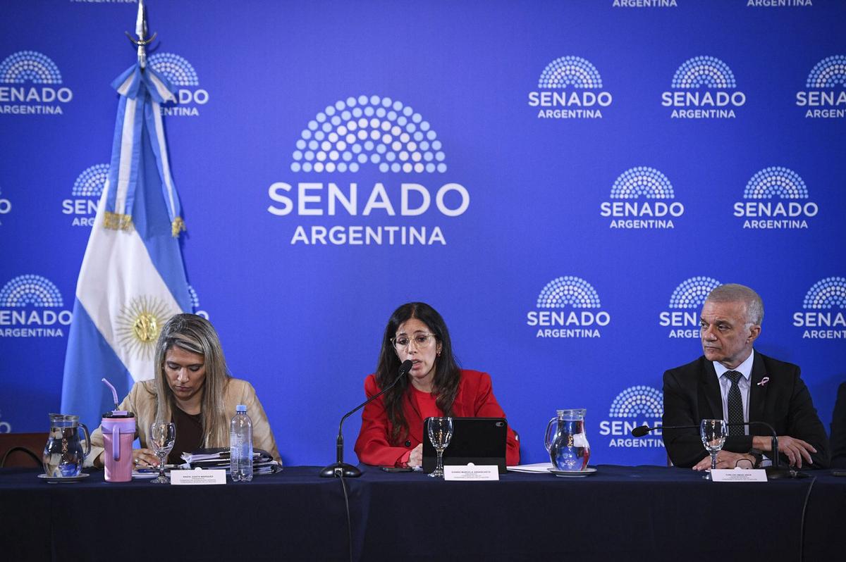 Reunión plenaria en el Senado, donde se discutieron cambios en la Ley de Salud Mental.