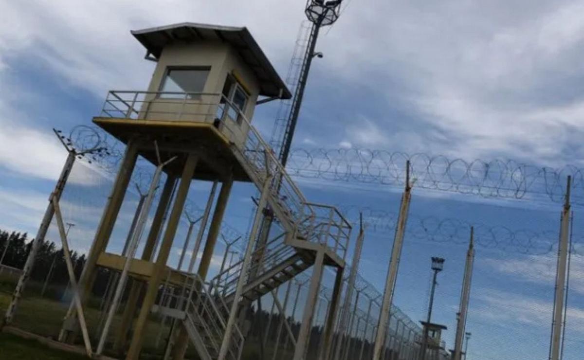 Unidad Penitenciaria N° 11 de Piñero.