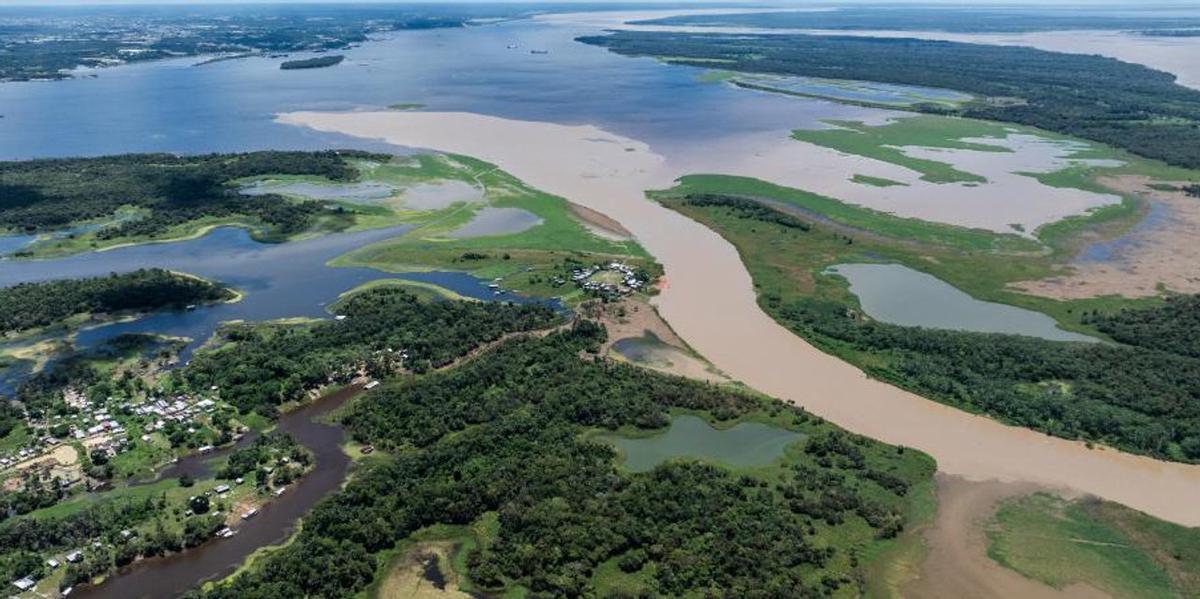 La deforestación en la Amazonia brasileña impulsa el riesgo de enfermedades como el mal de Chagas