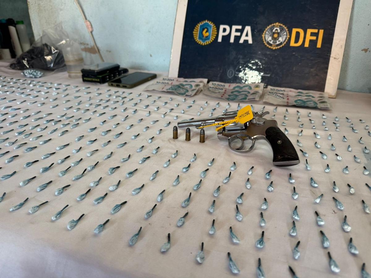 El operativo fue llevado adelante por la Policía Federal. 