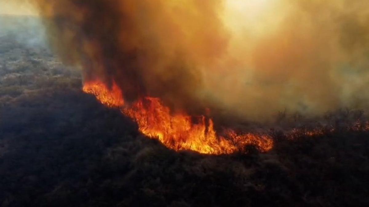 Detenido por provocar incendio forestal al tirar brasas de asado en Córdoba