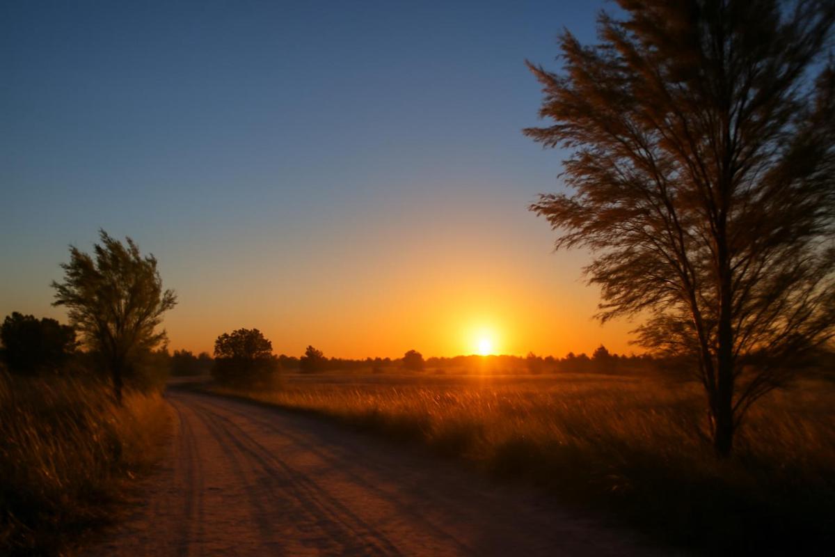 Clima en Santa Fe: cielo despejado y altas temperaturas