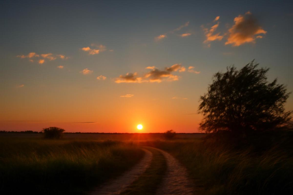 Clima en CABA: pronóstico del tiempo para el 7 de diciembre