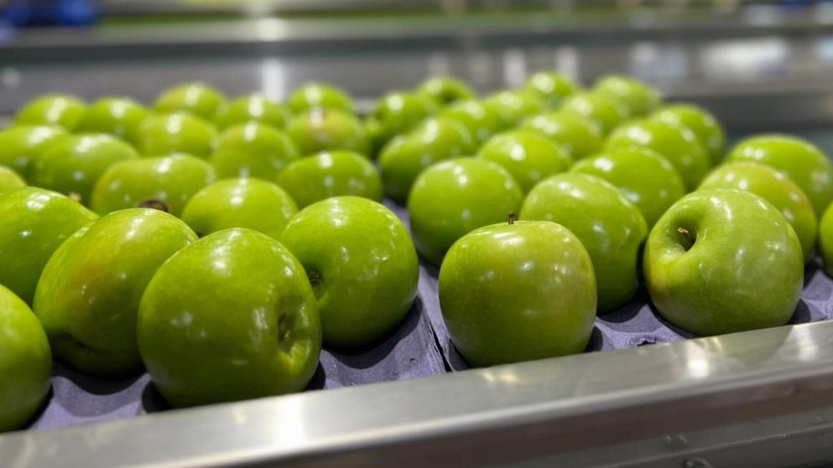 El Alto Valle, corazón frutal argentino que resiste ante la crisis