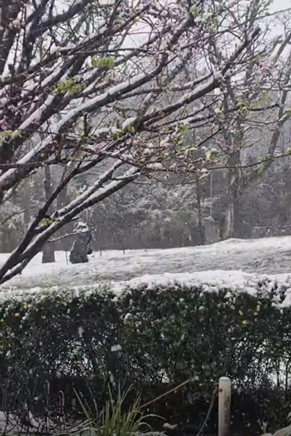 Nevadas cubren Córdoba: Altas Cumbres y localidades del sur se tiñen de blanco
