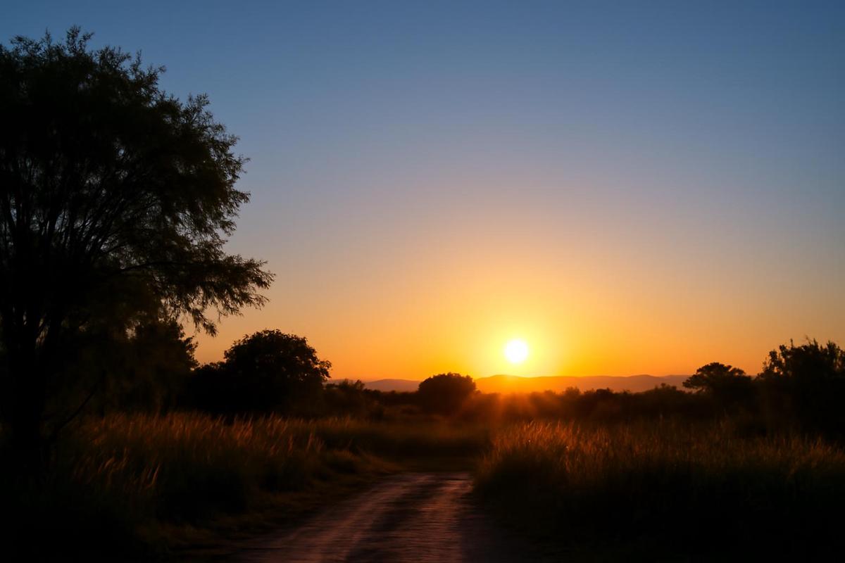 Clima en Salta: pronóstico del tiempo para el 14 de diciembre