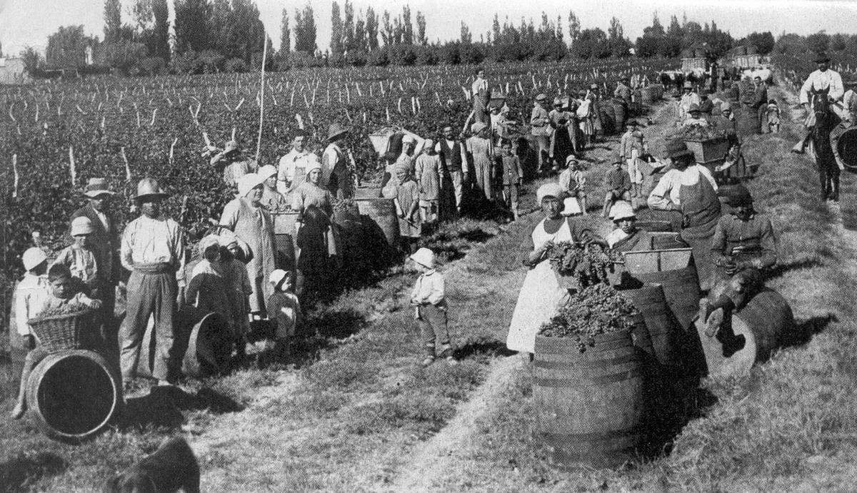 La conexión histórica entre Mendoza y España en la industria del vino