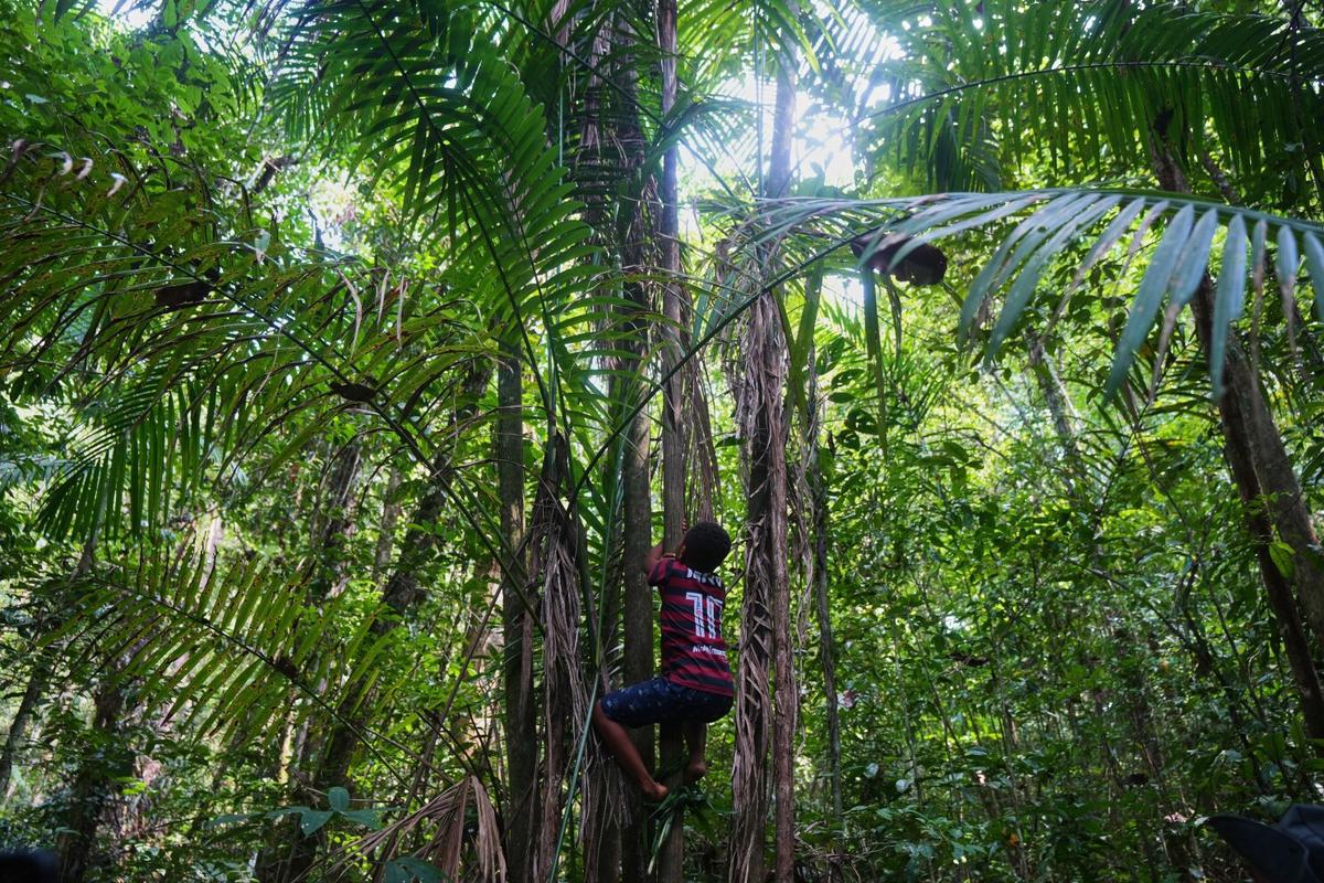 Comunidades afrodescendientes en Brasil luchan por títulos de tierras y preservación de la selva