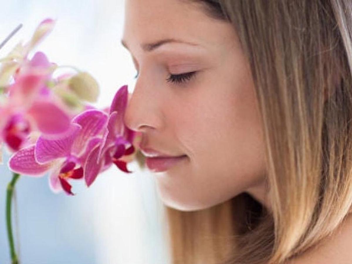 La pérdida del olfato: un problema que afecta la vida cotidiana y la salud