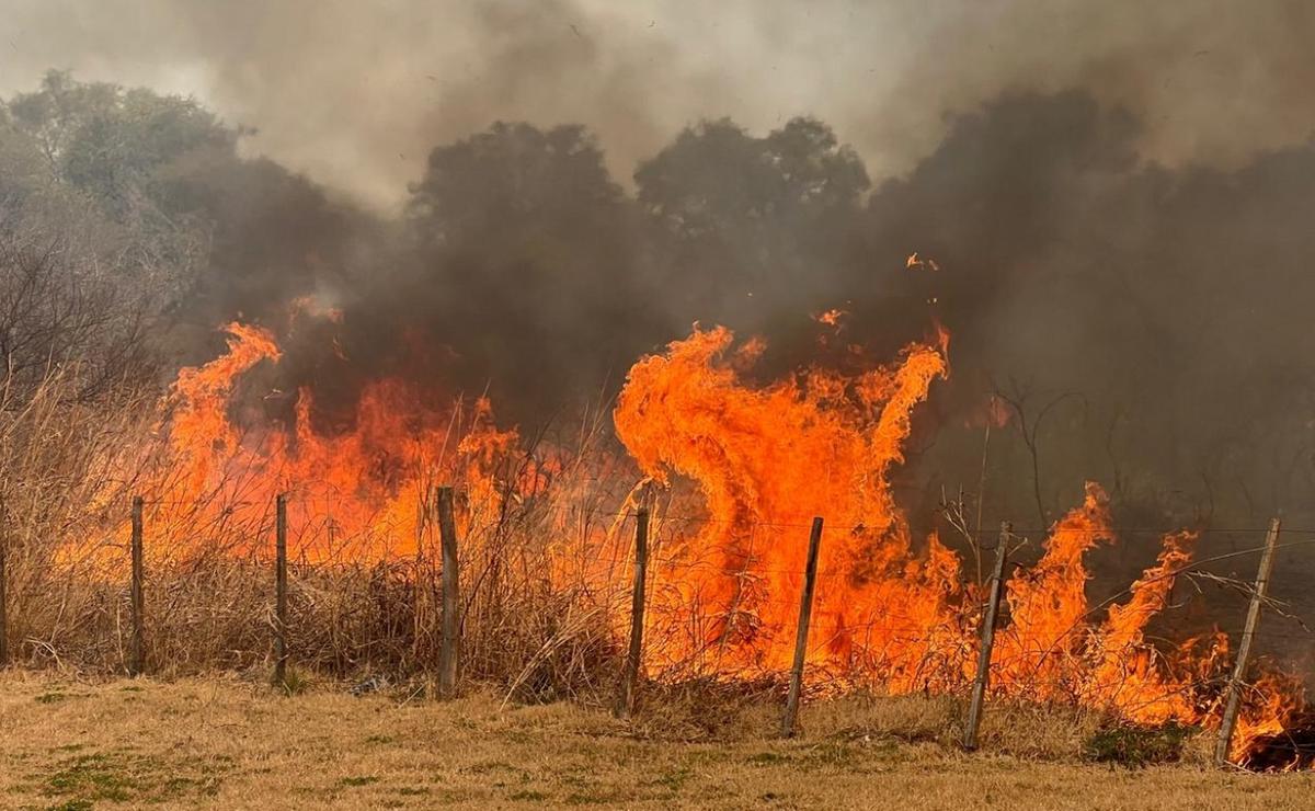 FOTO: Pánico en La Calera: avanza el fuego y evacúan a vecinos del barrio La Cuesta.