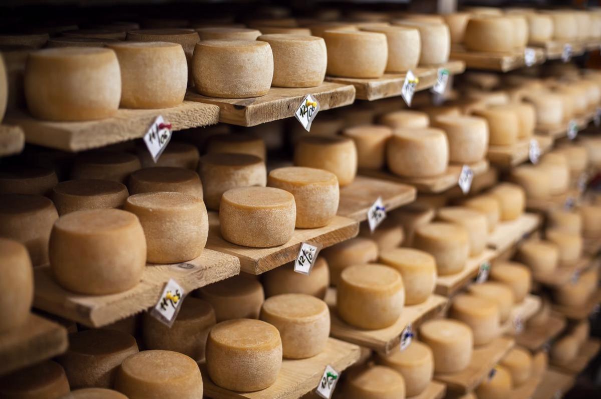 Villa María produjo un queso de más de una tonelada. (Foto: ilustrativa)