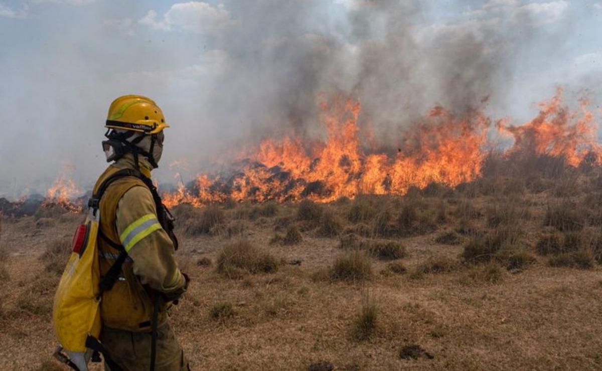 FOTO: Por los incendios en Córdoba, declararon la emergencia ambiental (Foto: archivo).