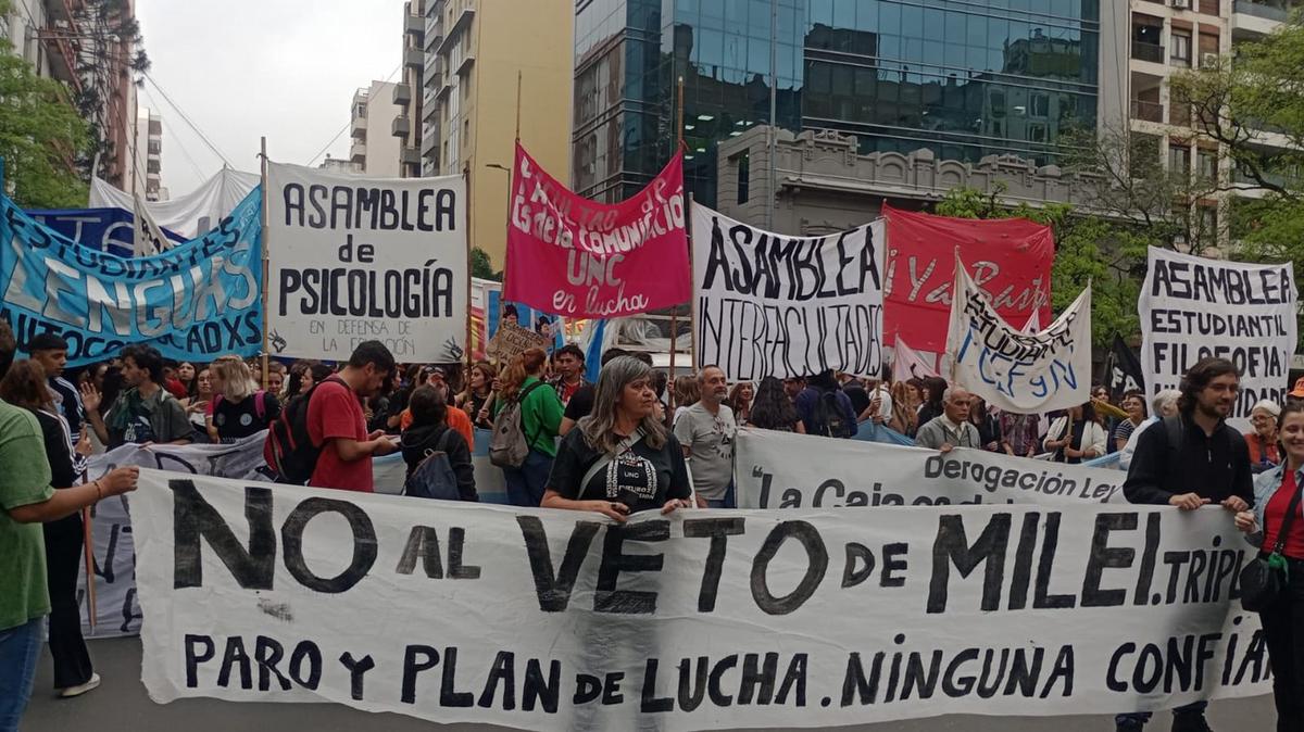 FOTO: Marcha universitaria en Córdoba. (Foto: Daniel Cáceres/C3)