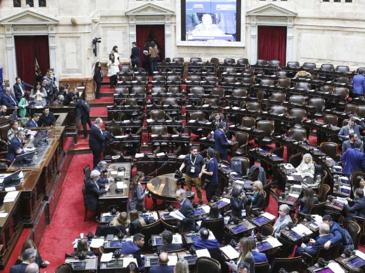 FOTO: Diputados (foto: archivo)