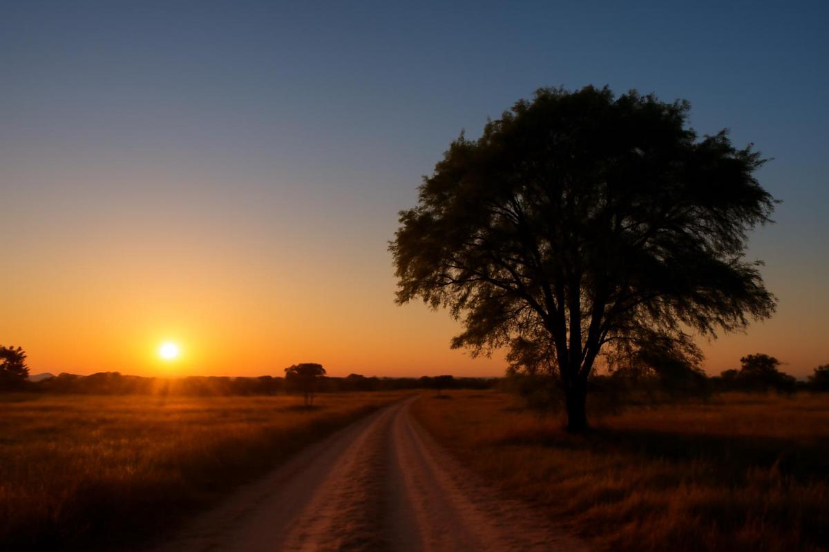 Clima en Córdoba: pronóstico del tiempo para el 5 de diciembre