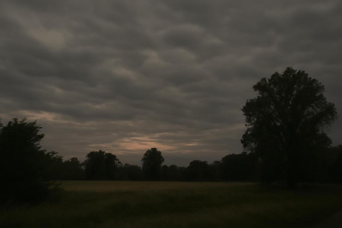 Clima en Tucumán: pronóstico del tiempo para el 15 de marzo