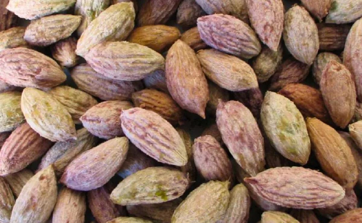 Carozos de aceituna.