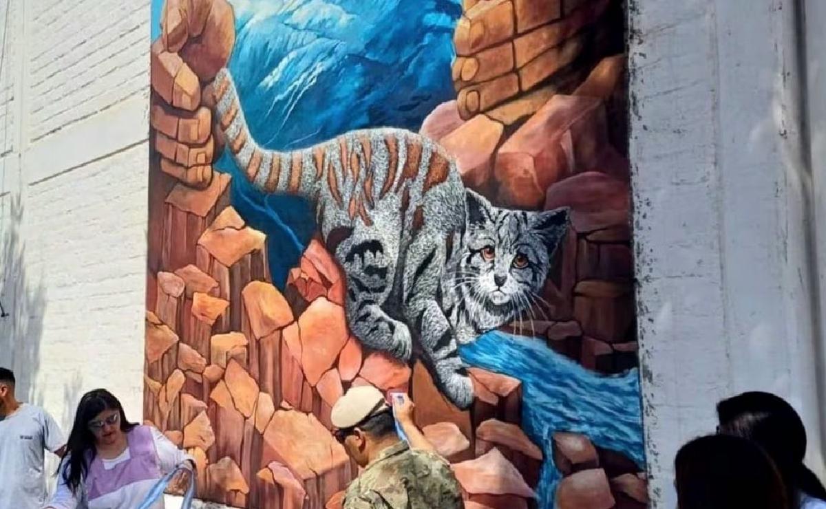 FOTO: Mural para concientizar sobre la preservación del gato andino. (Natura Argentina)