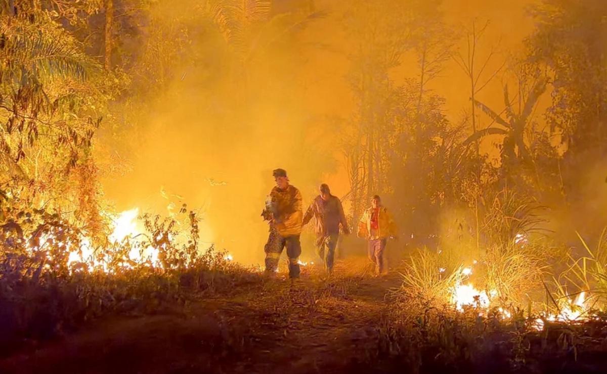 FOTO: Incendios (Foto: archivo)