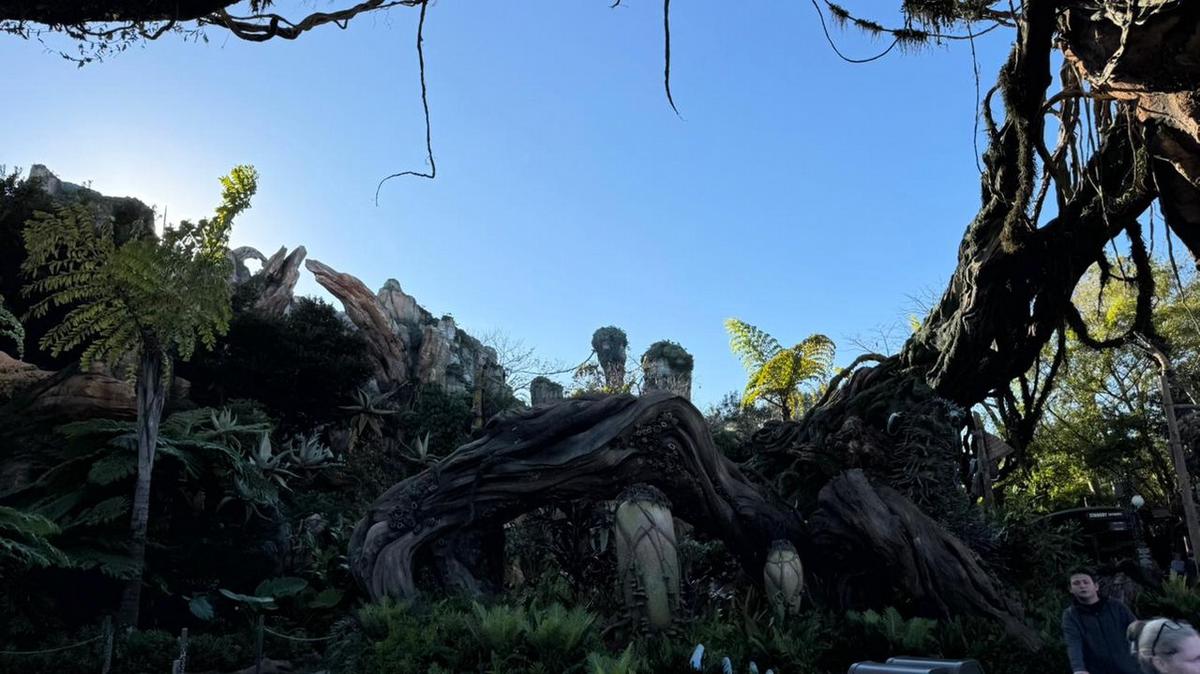 Una experiencia inolvidable en Disney: montañas rusas y aventuras emocionantes