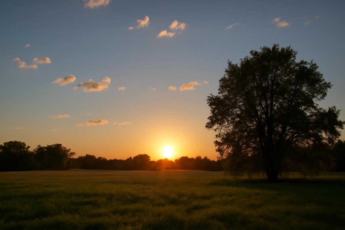 Clima en CABA: pronóstico para el domingo 4 de octubre
