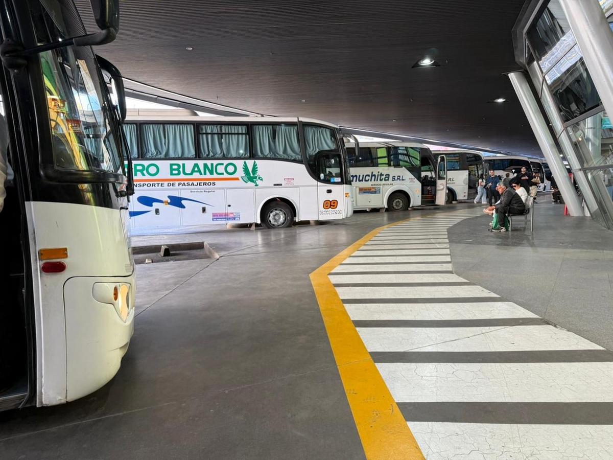 Transporte interurbano de Córdoba. (Foto: Octavio Liberali Guereschi/Cadena 3)