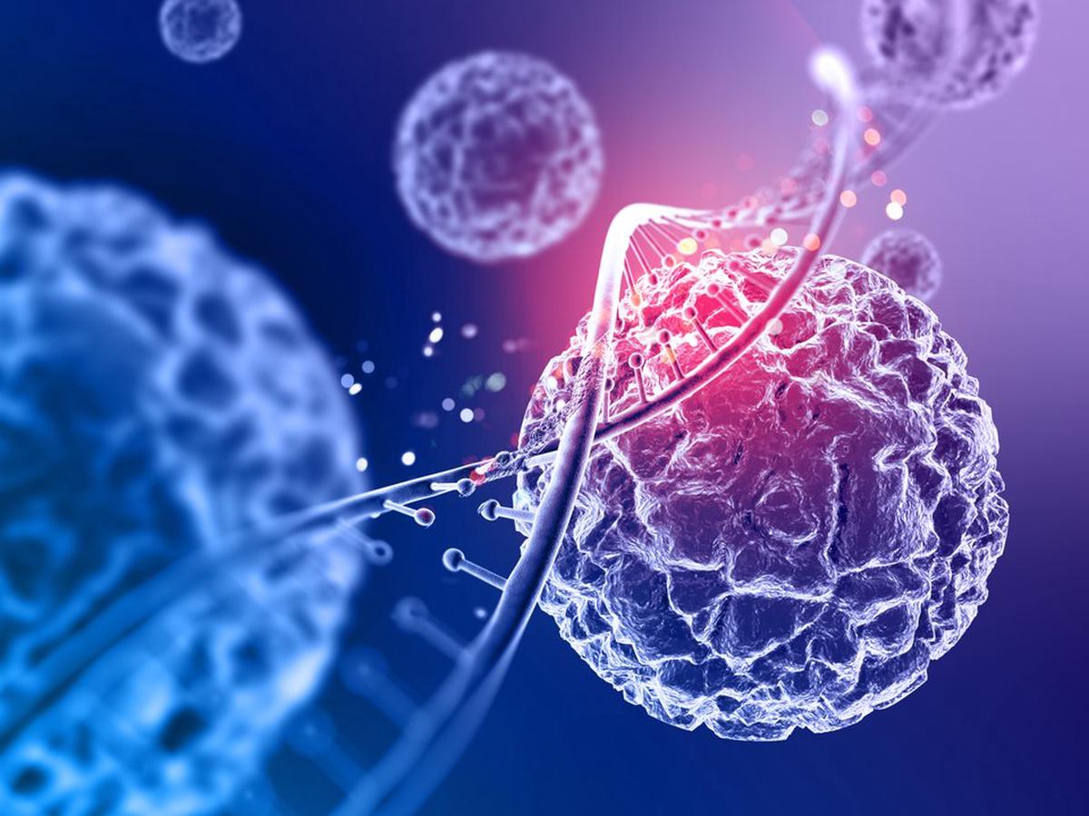 ANMAT autoriza nueva forma subcutánea de inmunoterapia para el cáncer