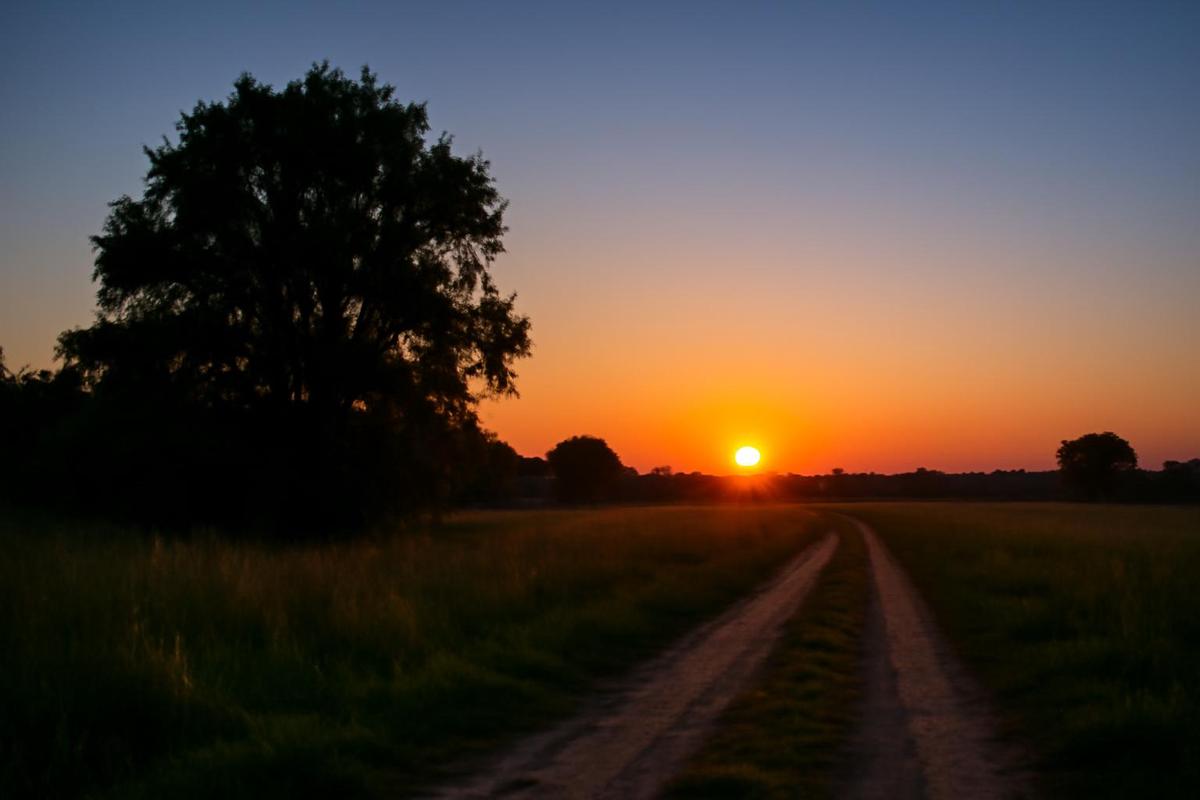 Clima en Tucumán: pronóstico del tiempo para el 12 de abril