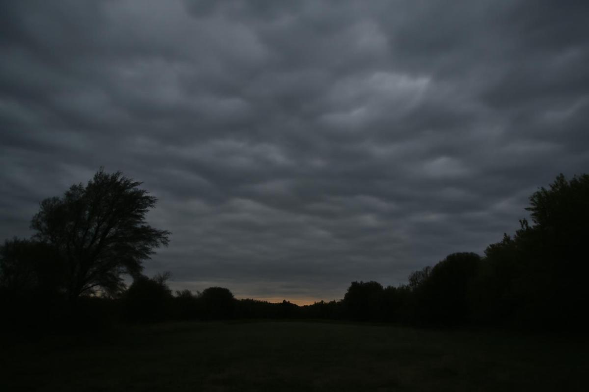 Clima en CABA: pronóstico del tiempo para el 11 de agosto