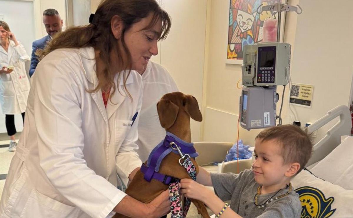 FOTO: La doctora, Nikita y Nicolás. La visita de la mascota mejoró el ánimo del paciente.