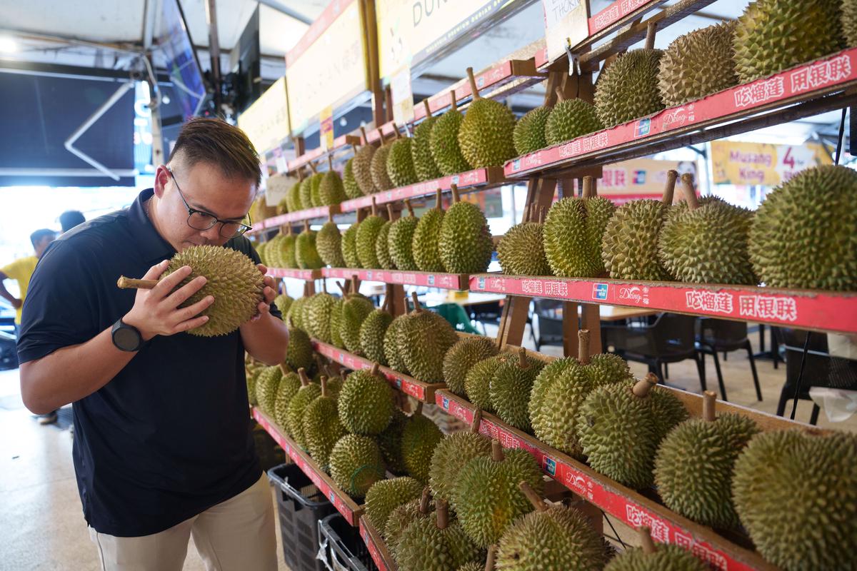 La apuesta de Malasia para que su fétido durián sea el más codiciado