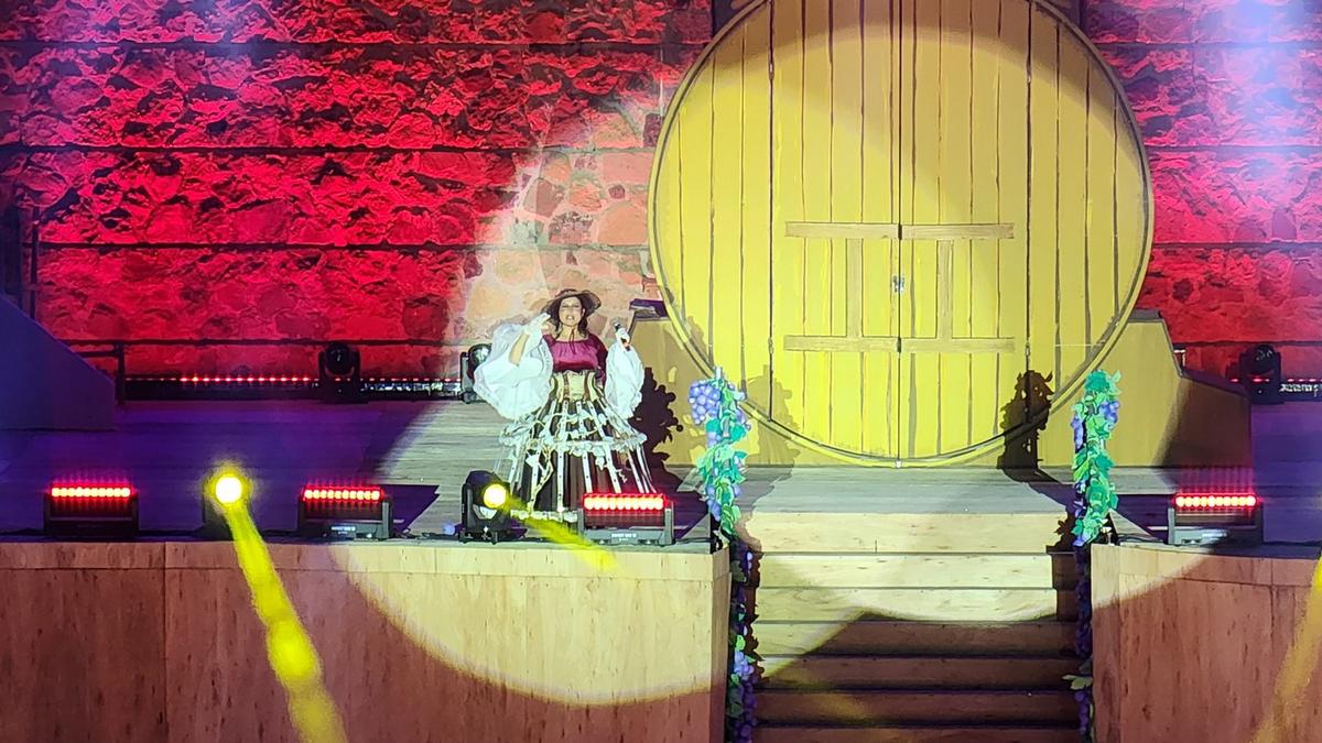 FOTO: La Fiesta de la Vendimia, un espectáculo inolvidable en Mendoza