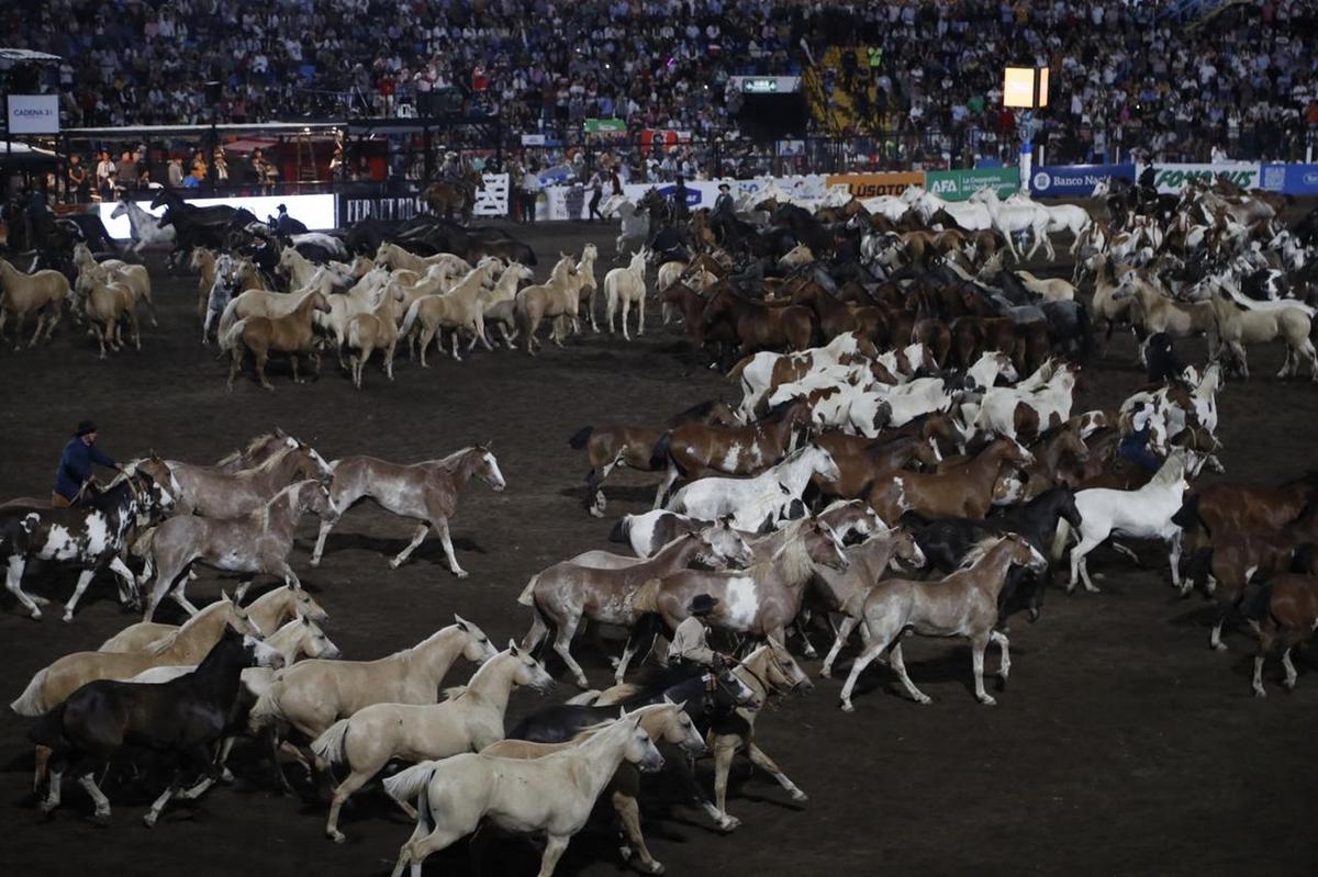 FOTO: Lo mejor de la tercera noche del Festival de Jesús María. (Daniel Cáceres/Cadena 3)