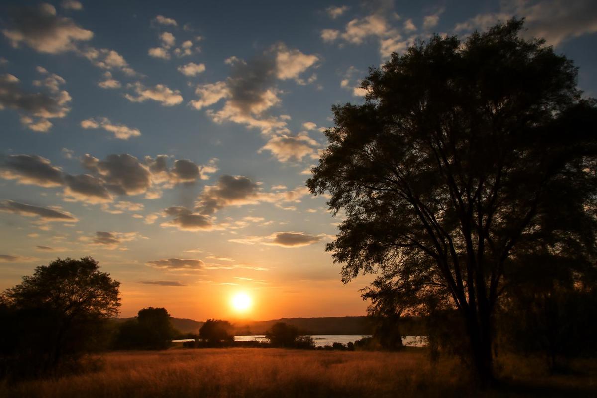 Clima en Salta: pronóstico del tiempo para el 2 de febrero