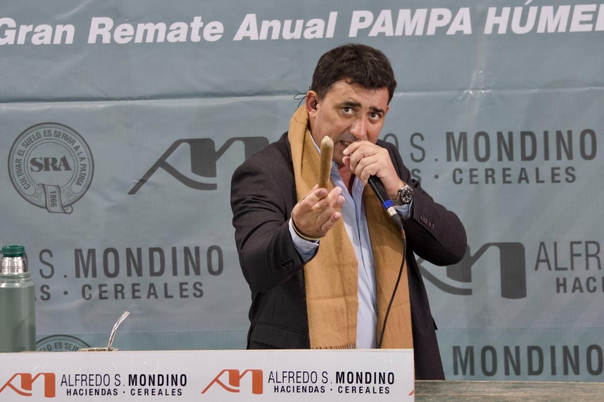 Roberto Mondino, martillero principal de la firma consignataria