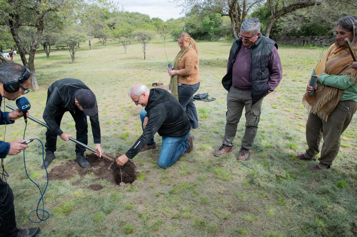Argentina Reforesta llegó a Sinsacate