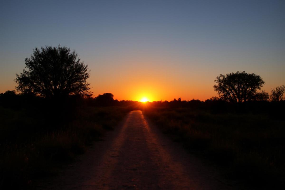 Clima en Mendoza: pronóstico del tiempo para el 26 de marzo
