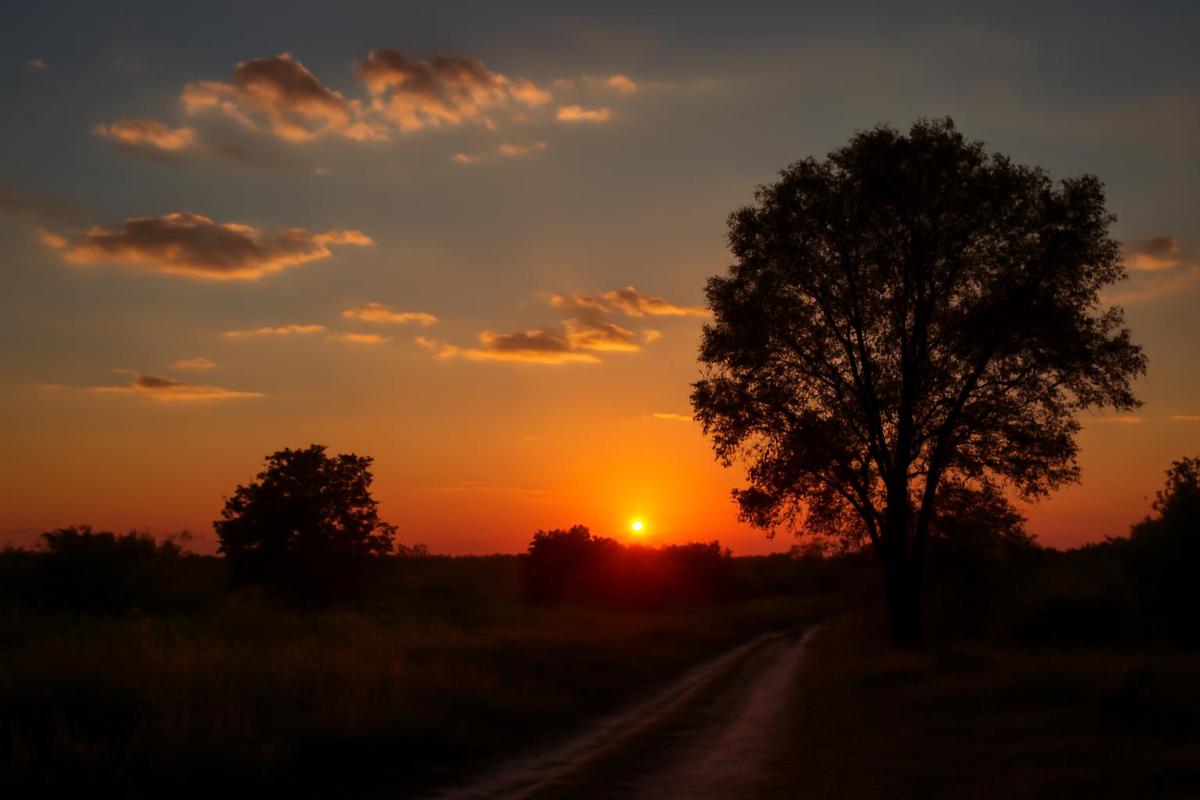 Clima en Mendoza: pronóstico del tiempo para el 12 de diciembre