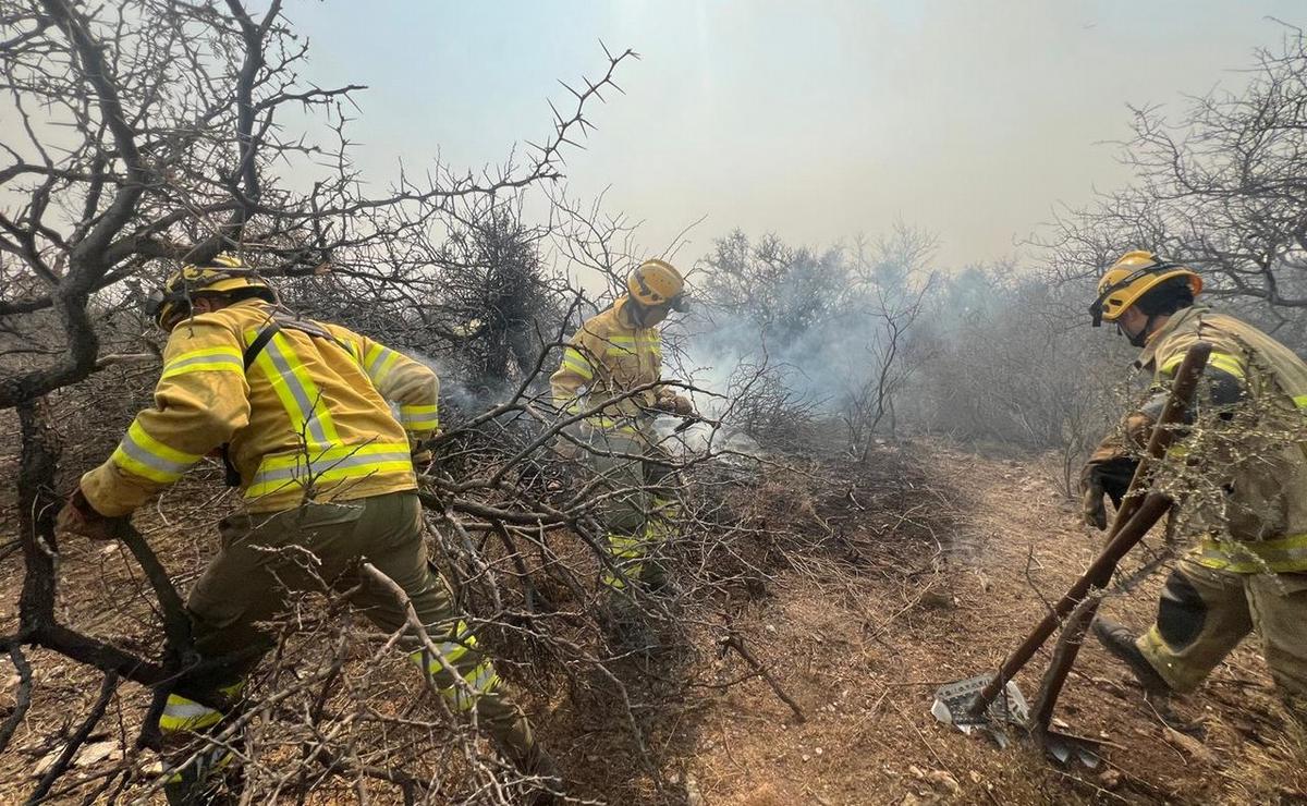 FOTO: Sigue el combate del incendio en Capilla del Monte. (Foto: Daniel Cáceres/Cadena 3)