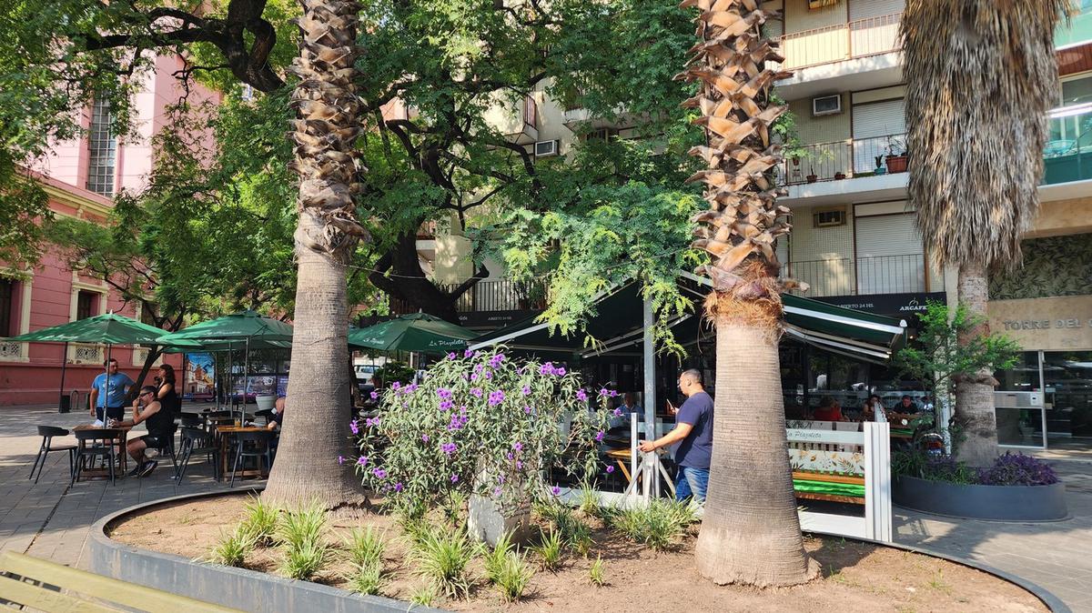 FOTO: Bar La Plazoleta, en el centro de Córdoba