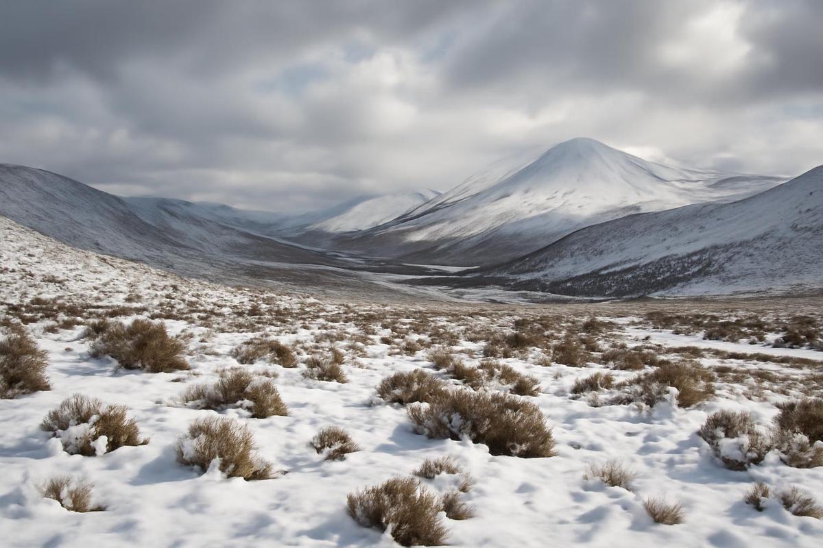 Nieve en el desierto de Atacama