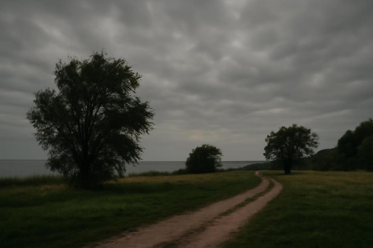 Clima en CABA: pronóstico del tiempo para el 17 de julio