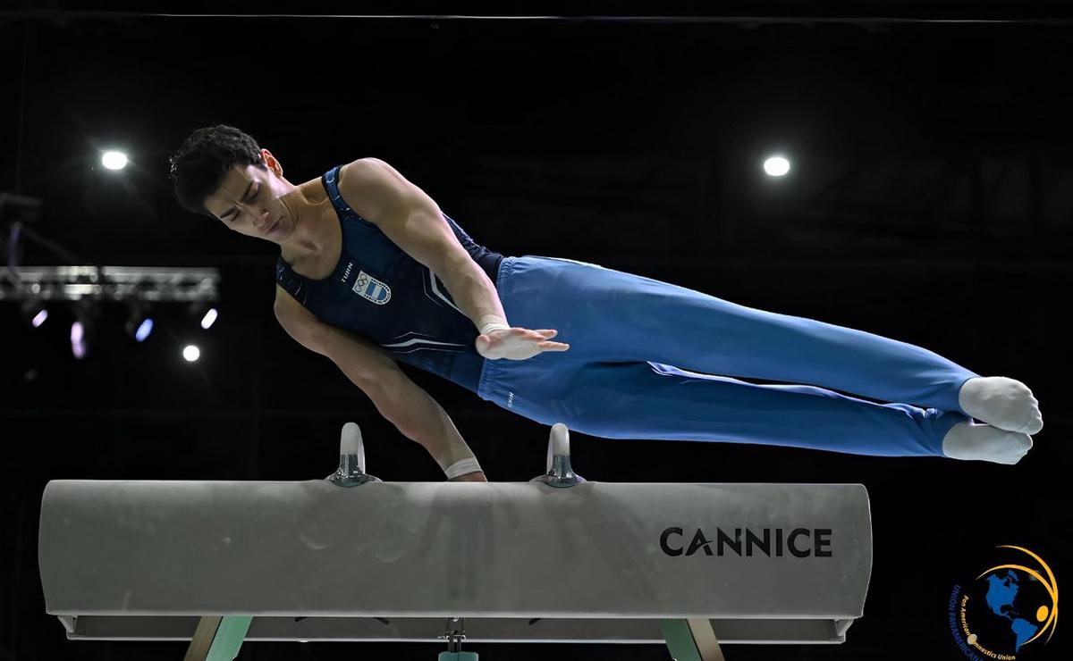 Luca Alfieri tiene 24 años y lleva casi dos décadas dedicado a la gimnasia artística.