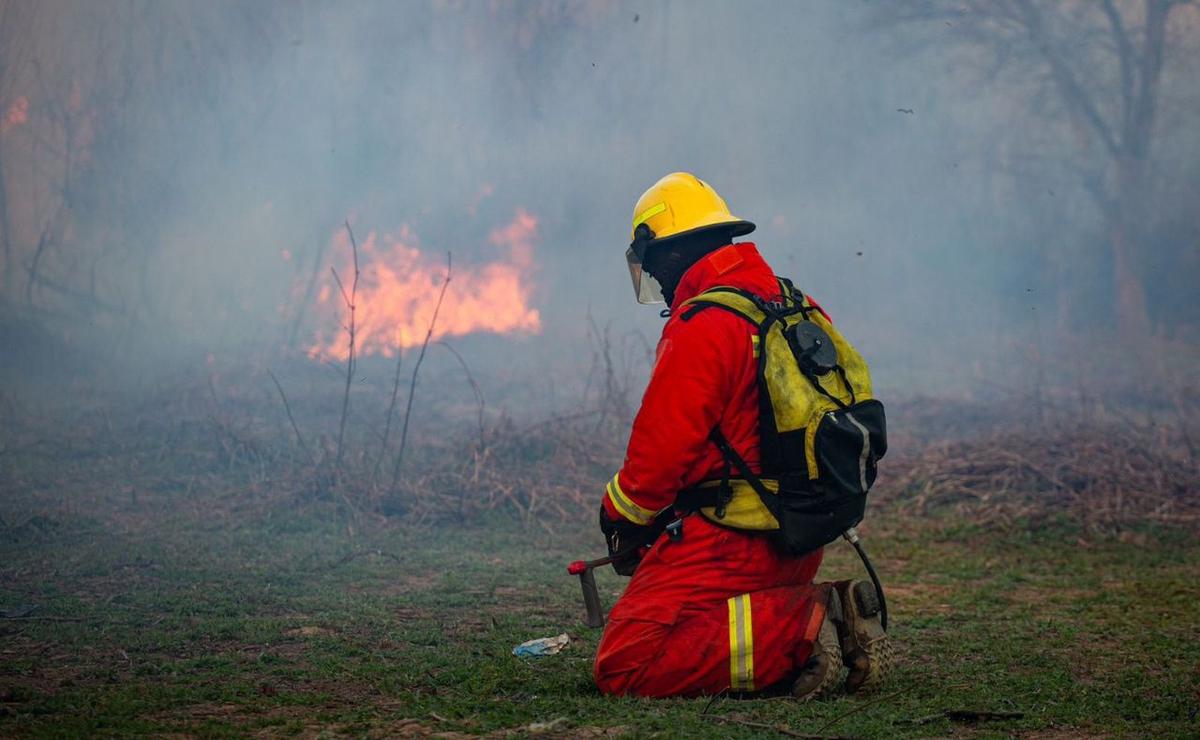 FOTO: Incendios en las islas frente a Rosario: fuego “contenido” por brigadistas.